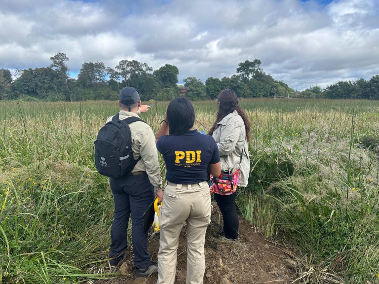PDI investiga posible daño en el Santuario de la Naturaleza Humedal Angachilla