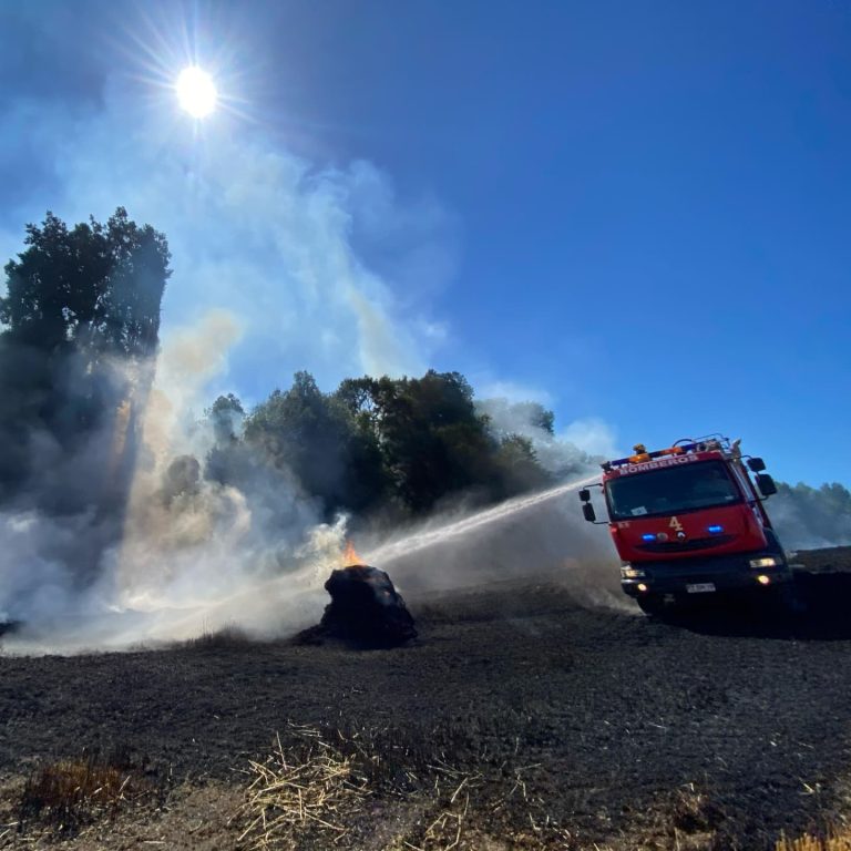 Incendio en Los Molinos-Rapaco consume siete hectáreas de rastrojo de trigo