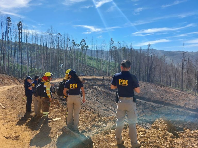 Más de 30 hectáreas consumidas por incendio en Valdivia: BIDEMA lidera peritajes