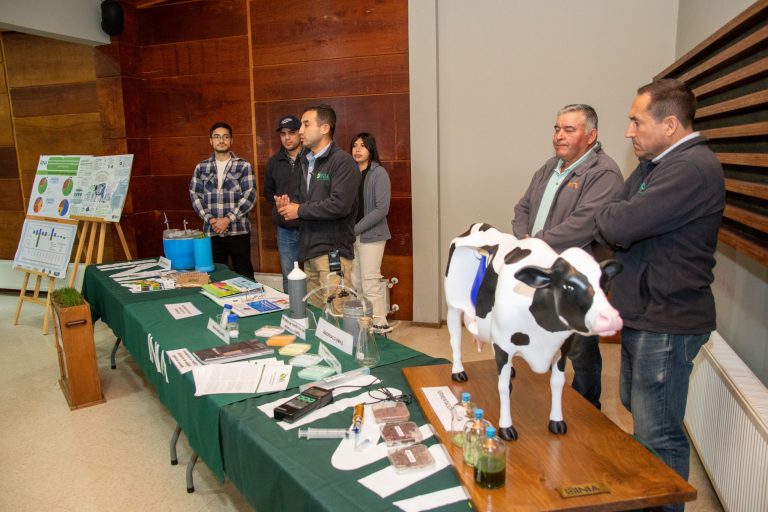 INIA Remehue presentó resultados de investigación para una ganadería sostenible