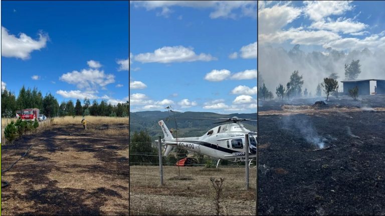 Bomberos, CONAF y Arauco controlan incendio de pastizales en el sector de Chaquian