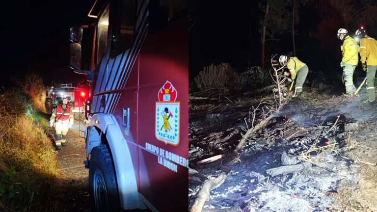Bomberos de La Unión controló incendio de desechos forestales en la localidad de Cuinco