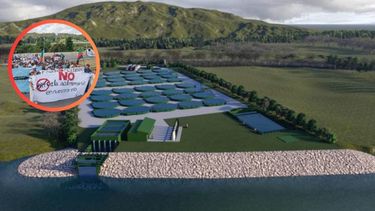 Movimiento ciudadano exige reevaluación ambiental de piscicultura en el río San Pedro