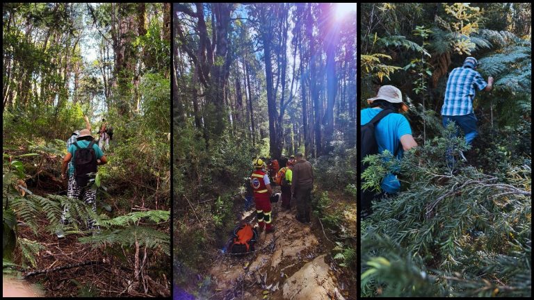 Turistas extraviados en el Parque Alerce Costero desmienten a guía y denuncian negligencia