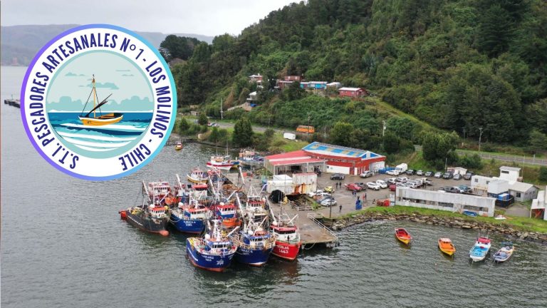 Los sabores del mar y la tradición se unen en la Primera Muestra Costumbrista de Caleta Los Molinos