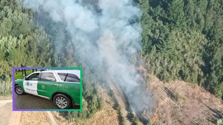 Carabineros detiene a hombre responsable de causar incendio forestal en Valdivia