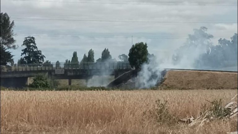 Bomberos de La Unión combatió incendio aledaño a la Ruta 5 en la localidad de San Javier
