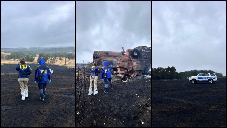 PDI de Osorno investiga incendio que afectó 15 hectáreas en Purranque
