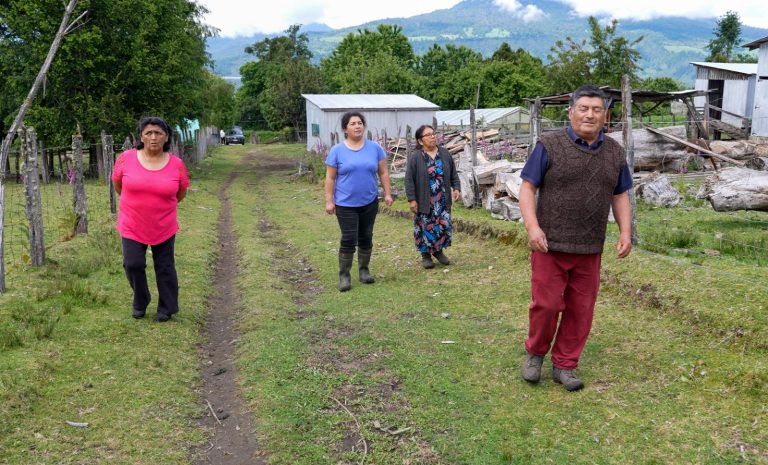 Agrupación de Maihue recibe trilladora para potenciar la producción agrícola y apoyar a vecinos