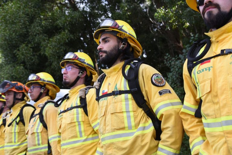 Conmemoran Día Nacional de las y los Brigadistas Forestales
