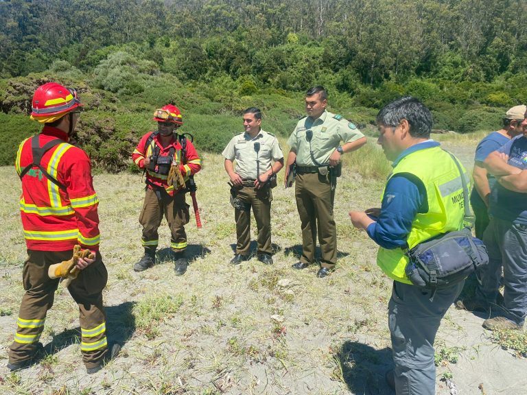 SENAPRED cancela Alerta Roja tras control de incendio en Corral