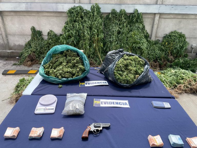 Desarticulan organización criminal dedicada al tráfico de drogas en San Juan de la Costa y Osorno