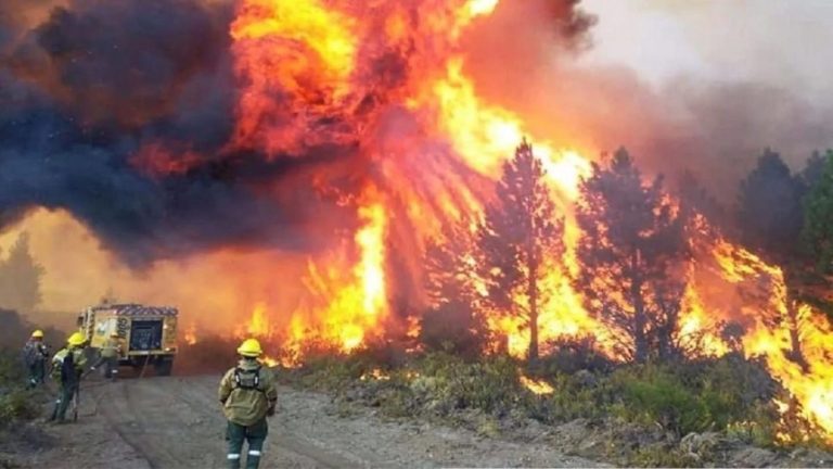 Incendio en Parque Nahuel Huapi en Argentina cruza a Chile por el Paso el León en Cochamó