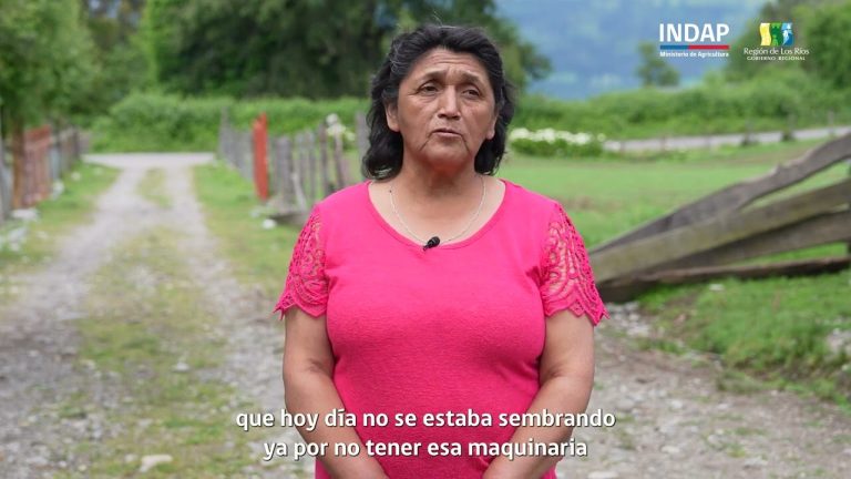 Maihue revive su tradición agrícola con nueva trilladora