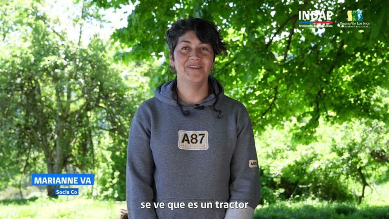 Con apoyo de INDAP y el Gobierno Regional, Cooperativa Caunacoop revitaliza su producción agrícola en Futrono con nueva maquinaria