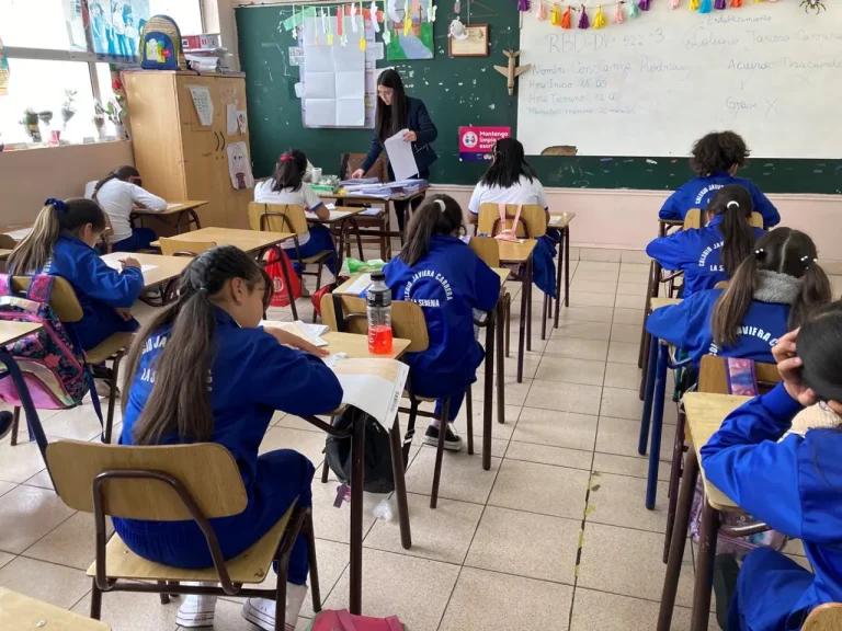 Cuarto básico alcanza cifras inéditas desde 2002
