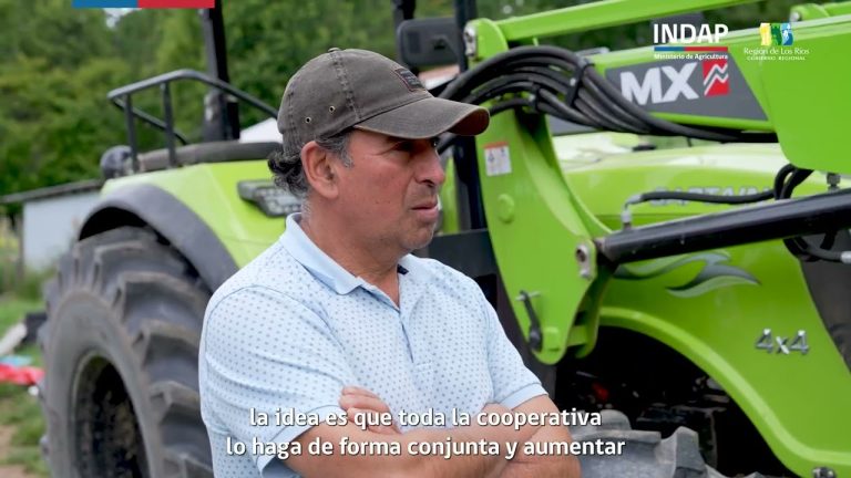 Auka Mapu crece gracias a la adquisición de un tractor multiuso y una separadora de papas