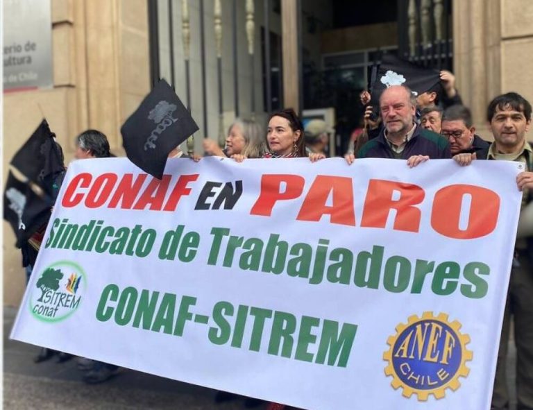 Sindicato de CONAF denuncian vulneración a derechos y patrimonio en nuevo proyecto de ley