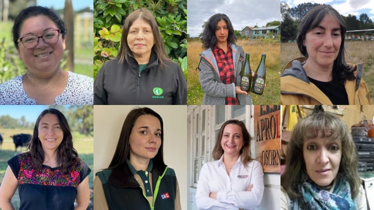 Ministerio de Agricultura reconocerá a mujeres destacadas del agro en la región de Los Lagos