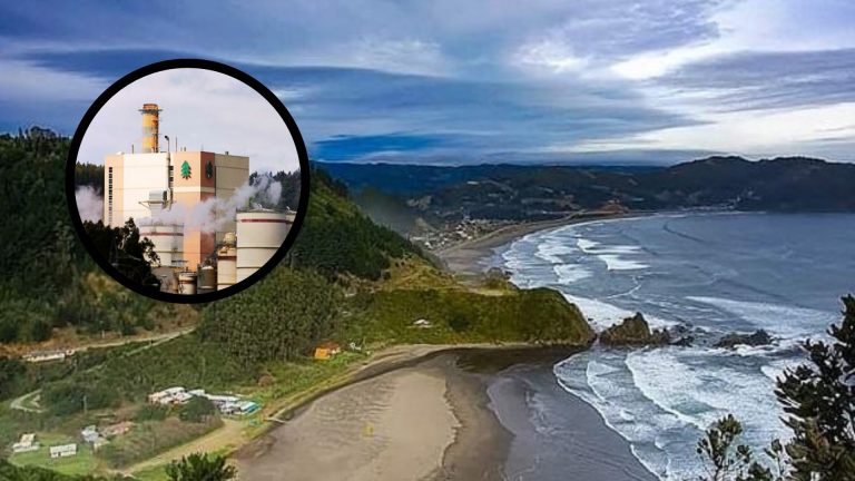 Tras 16 años frenan proyecto de ducto al mar en Mehuín impulsado por Celulosa Arauco