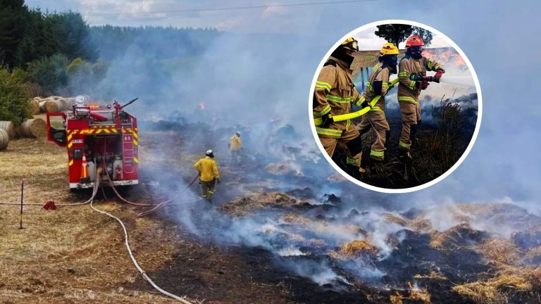 Incendio de bolos de paja en Fundo Buenos Aires movilizó a Bomberos de La Unión