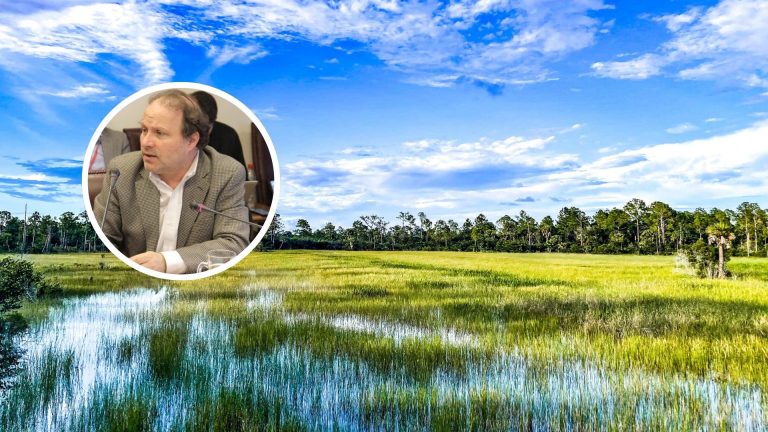 Senador De Urresti oficia a autoridades tras informe de Contraloría que alerta sobre riesgo sanitario en humedales