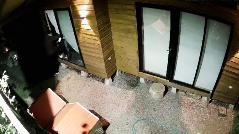 Delincuentes hieren a un perro para concretar millonario robo en Pilmaiquén