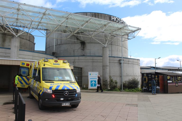 Hombre fallece tras ser mordido por un perro Akita en sector rural de Osorno