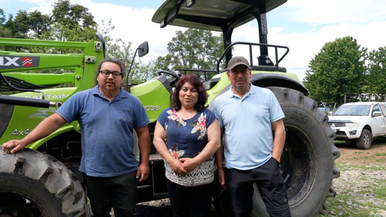 El tractor y la seleccionadora de papas que impulsan a la Cooperativa Auka Mapu con apoyo de INDAP y el Gobierno Regional
