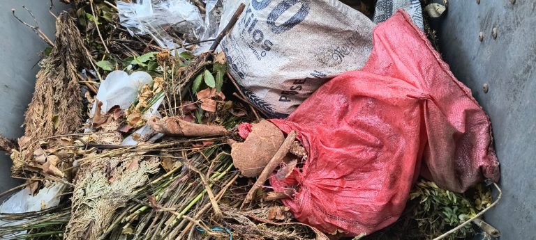 Denuncian hallazgo de osamentas en basurero a las afueras del cementerio Católico de La Unión