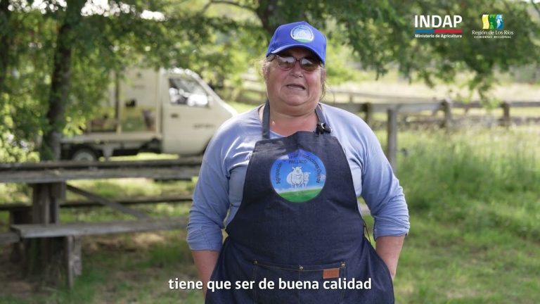 ¡Buenas noticias para los productores ovinos de Paillaco!