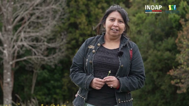 Agrupación de Mujeres Renacer con Newen de Curiñanco impulsan su producción con nuevo equipamiento