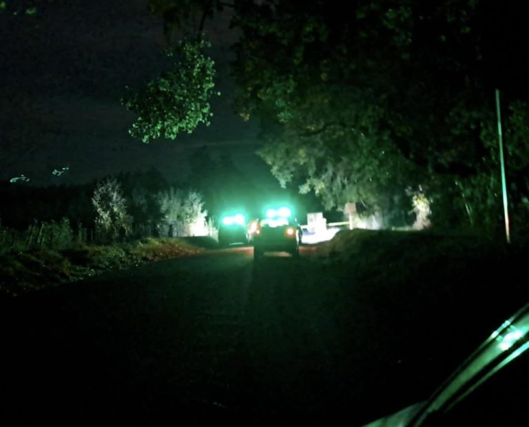 Hombre muere atropellado por camión en Panguipulli: conductor fue detenido