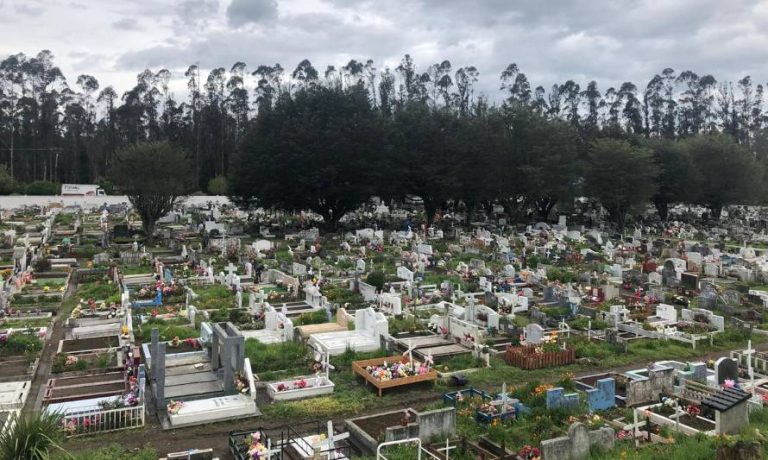 Denuncian vandalismo y robos de figuras religiosas en ocho tumbas del cementerio municipal de Los Lagos