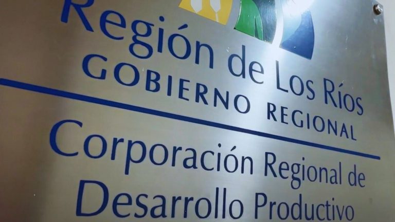 Funcionarios de la Corporación de Desarrollo de Los Ríos paralizan atención tras casi dos meses sin sueldo