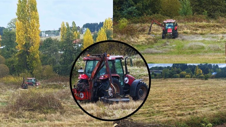 Denuncian a Municipalidad de La Unión por uso de maquinaria en limpieza de terreno privado de 4 hectáreas