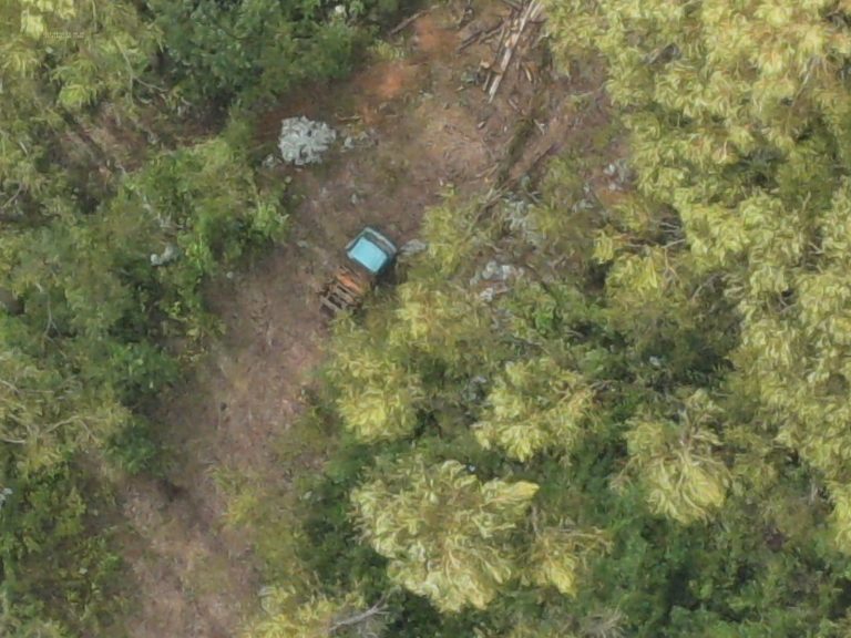 PDI detuvo a un hombre por sustracción de madera y usurpación de terreno en La Unión