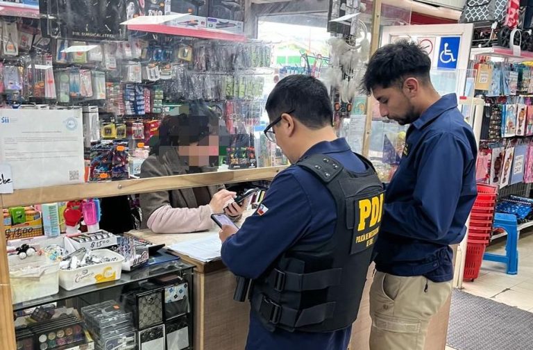 PDI detectó infractores a la Ley de Migraciones en Lago Ranco y Futrono