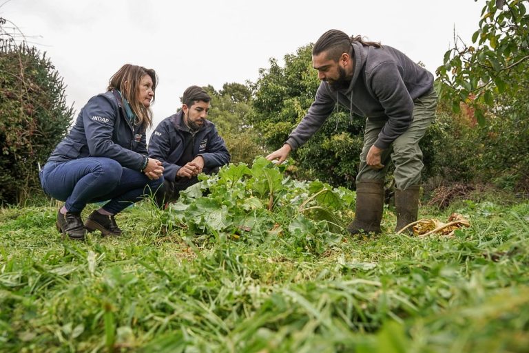 Programa “Mi Primer Negocio Rural” impacta en el emprendimiento juvenil del campo en Los Ríos