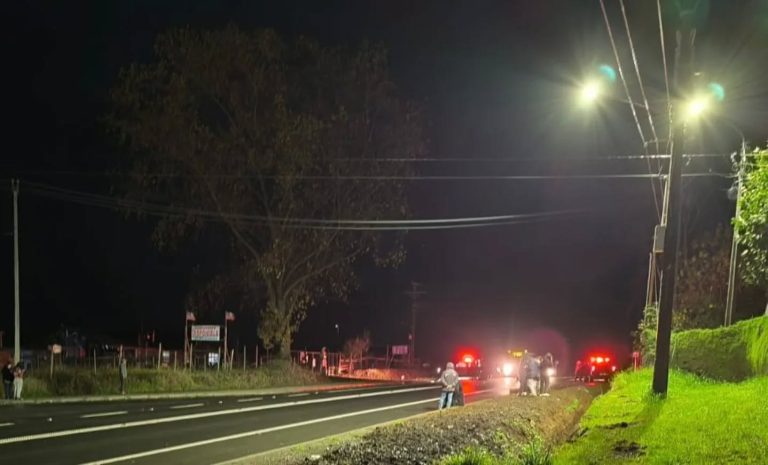 Estudiante de 16 años fallece tras ser atropellado en Puerto Octay