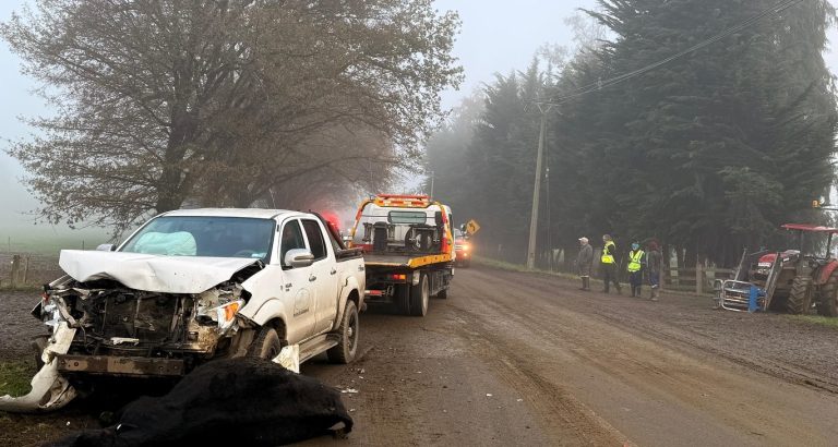 Vehículo colisionó con vacuno en la localidad de Itropulli y moviliza a Bomberos de Paillaco
