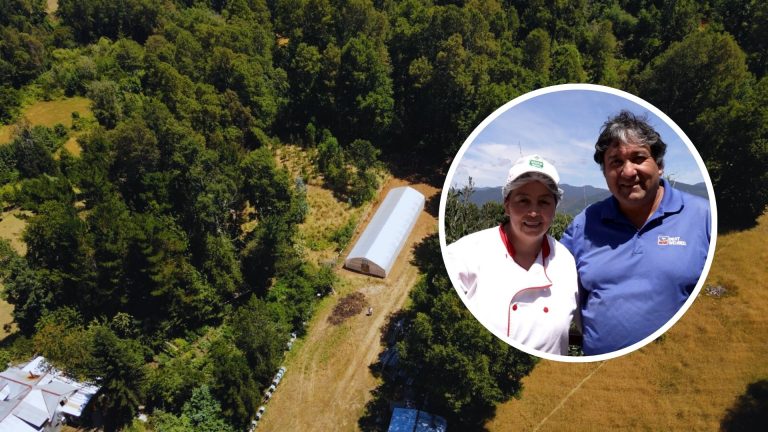 agricultor del Lof Cultruncahue de Neltume amplía su huerta orgánica centenaria