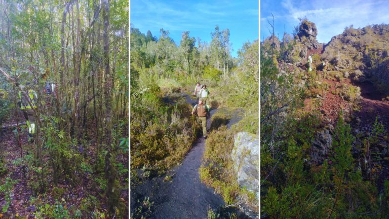 Encuentran con vida a hombre desaparecido en sector precordillerano de Lago Ranco