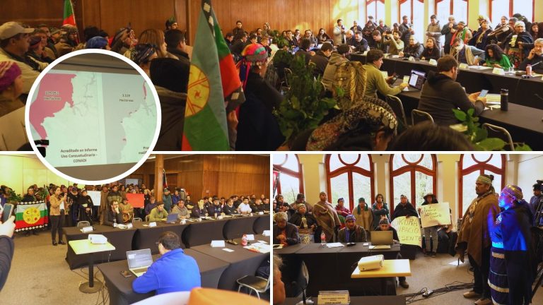 Violenta reacción de comunidades tras rechazo de solicitud de 105 mil hectáreas de Borde Costero en Valdivia 