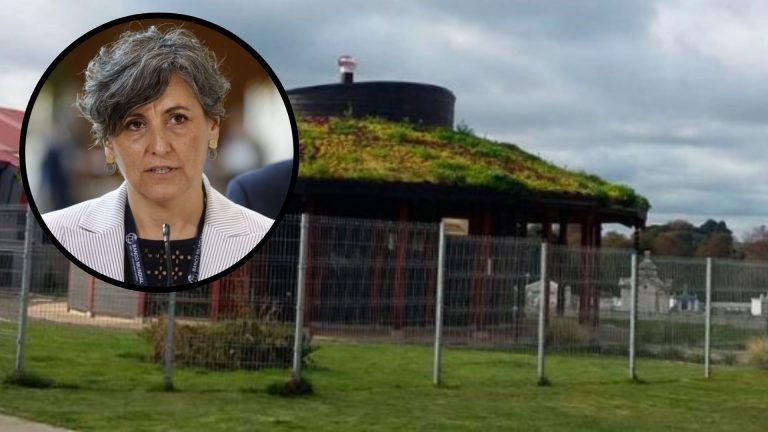 ministra de salud visitará La Unión para reunirse con comunidades mapuche