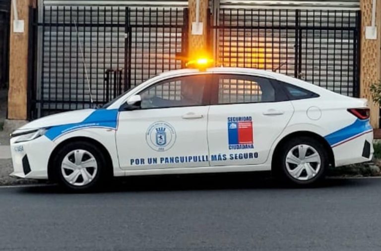 Municipalidad de Panguipulli denuncia ataque a inspectores durante una fiscalización en Neltume