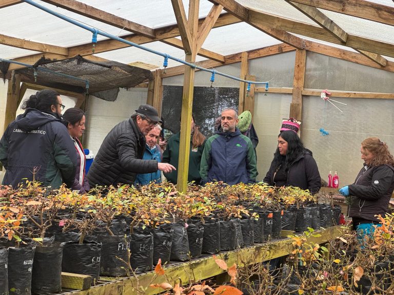 CONAF y Colún refuerzan alianza para conservar especies nativas en la región de Los Ríos