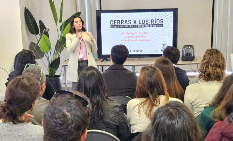 Nueva convocatoria busca capacitar a emprendedores e innovadores en la región de Los Ríos