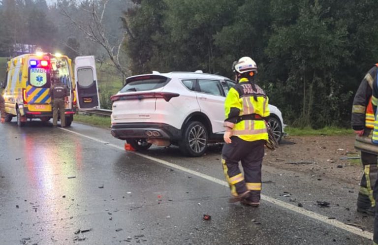Adulto mayor muere en choque frontal con camión en ruta Valdivia-Paillaco