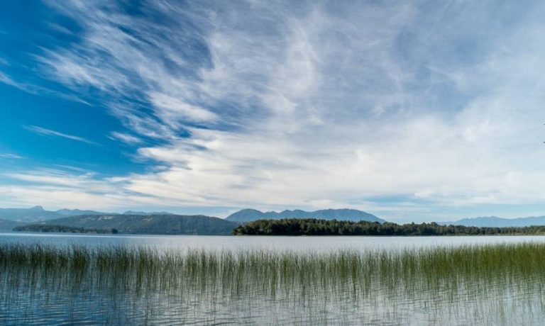 Corte Suprema ordena reparación de daño ambiental en humedal Teja Sur de Valdivia